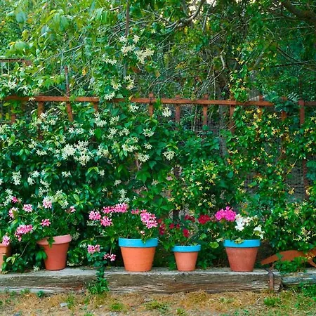 Chalet Casa A'pajera