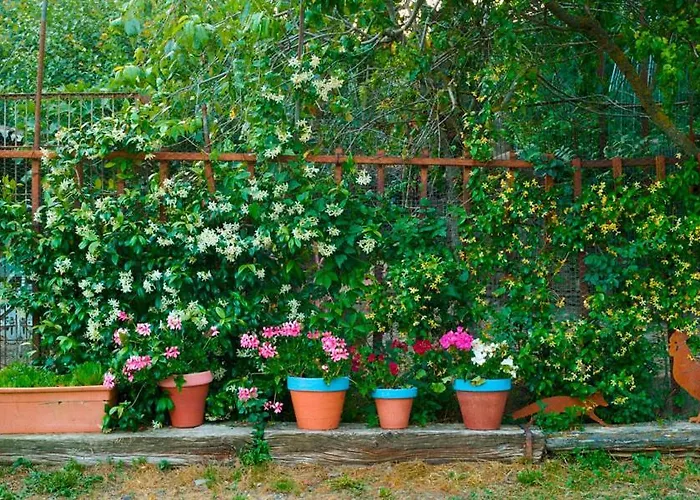 Alpstuga Casa A'pajera